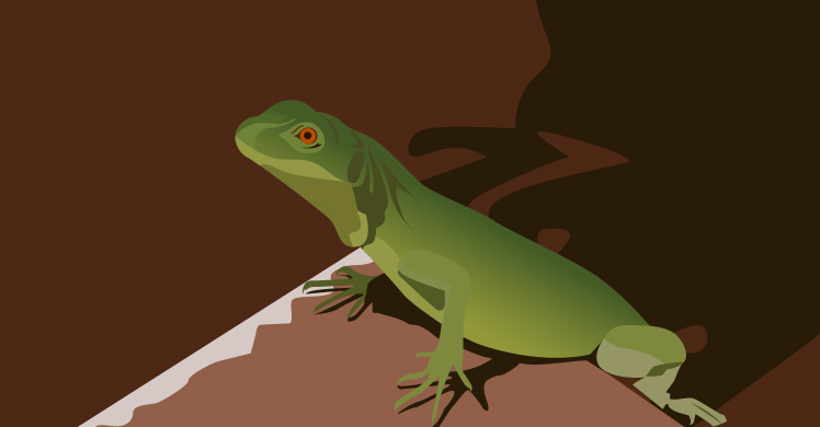 illustration
