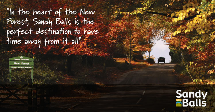 Sandy Balls, the family holiday favorite of the New Forest gets a brand new website to boost it's online revenue.